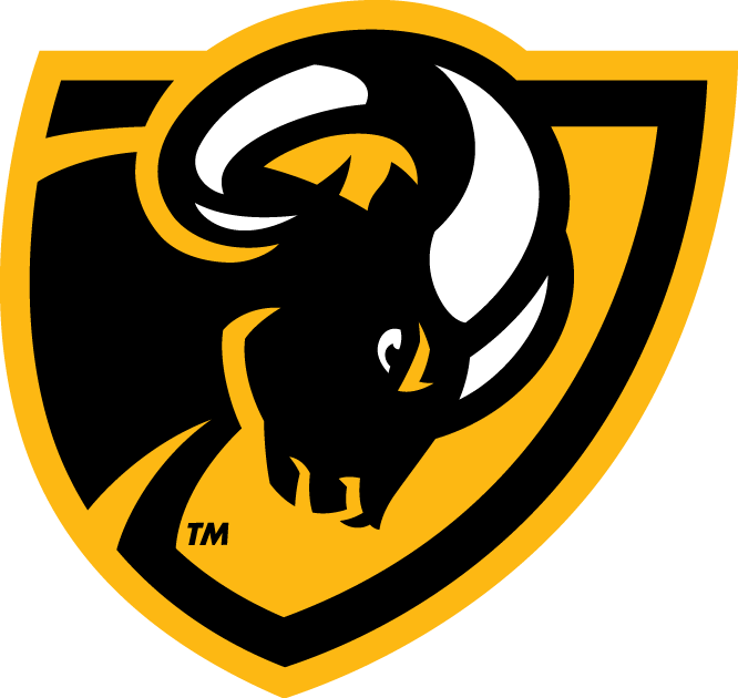 Virginia Commonwealth Rams 2014-Pres Secondary Logo diy fabric transfer